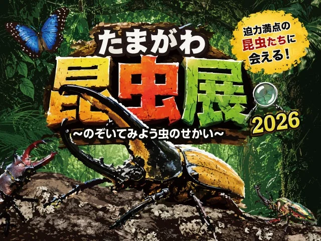 たまがわ昆虫展2026ポスター