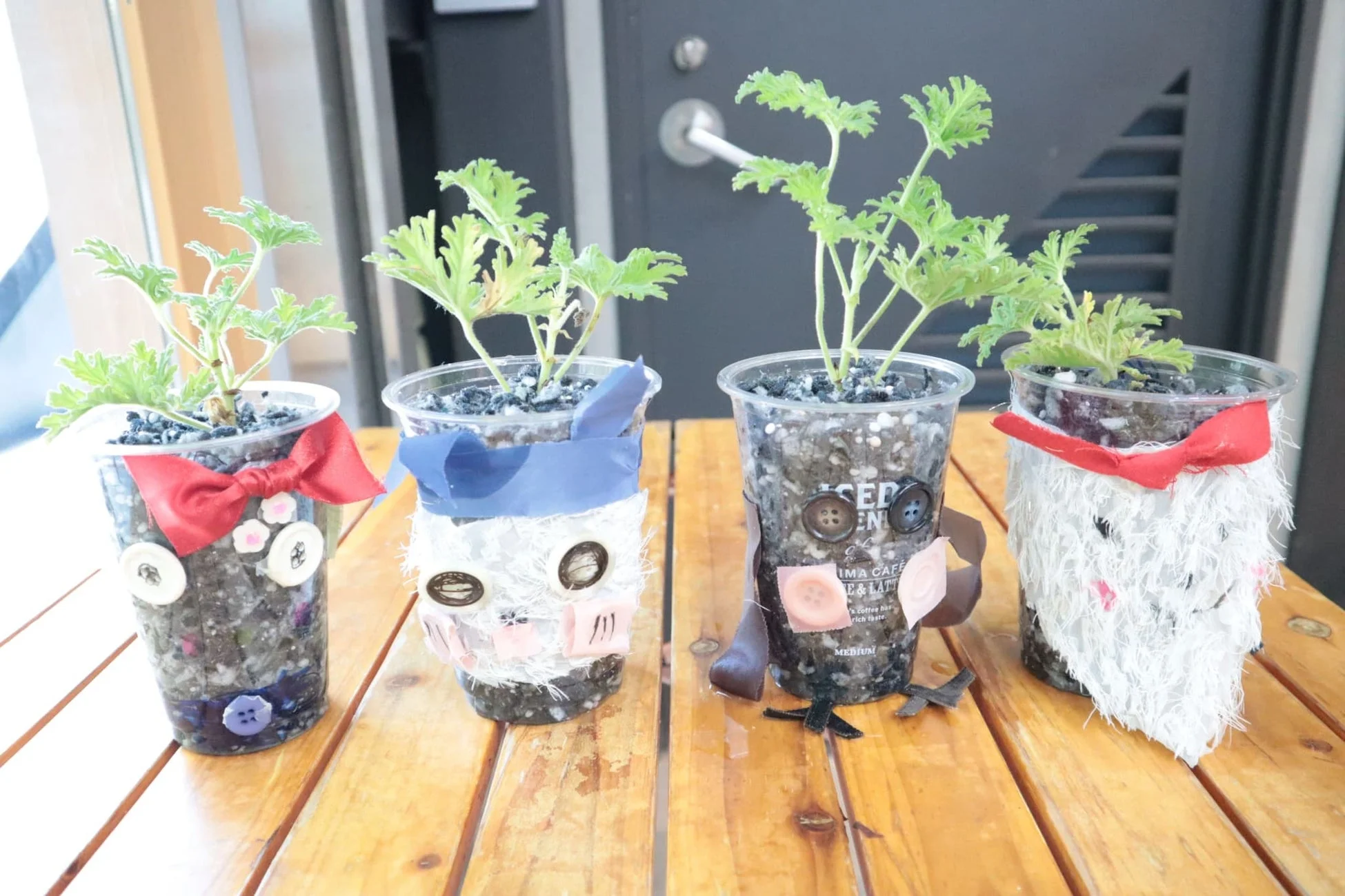 再利用されたプラスチックカップに植えられた植物