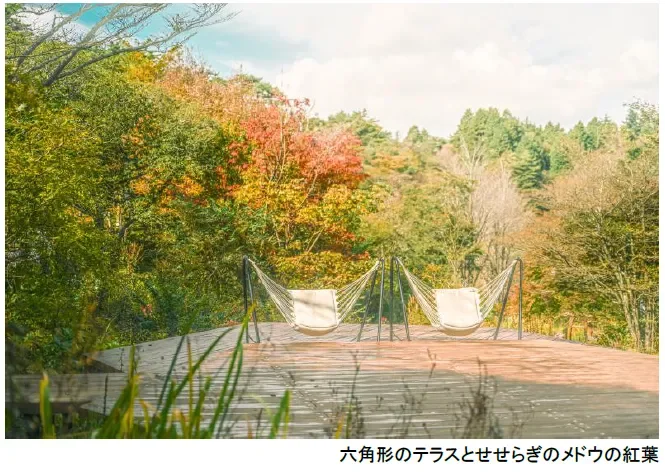 紅葉に囲まれた六角形のテラス
