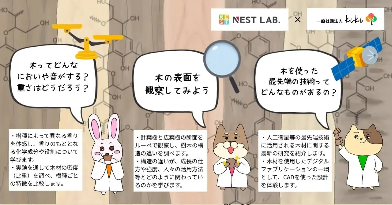 プログラム内容