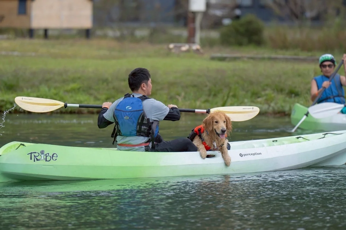 カヤックを楽しむ犬と人