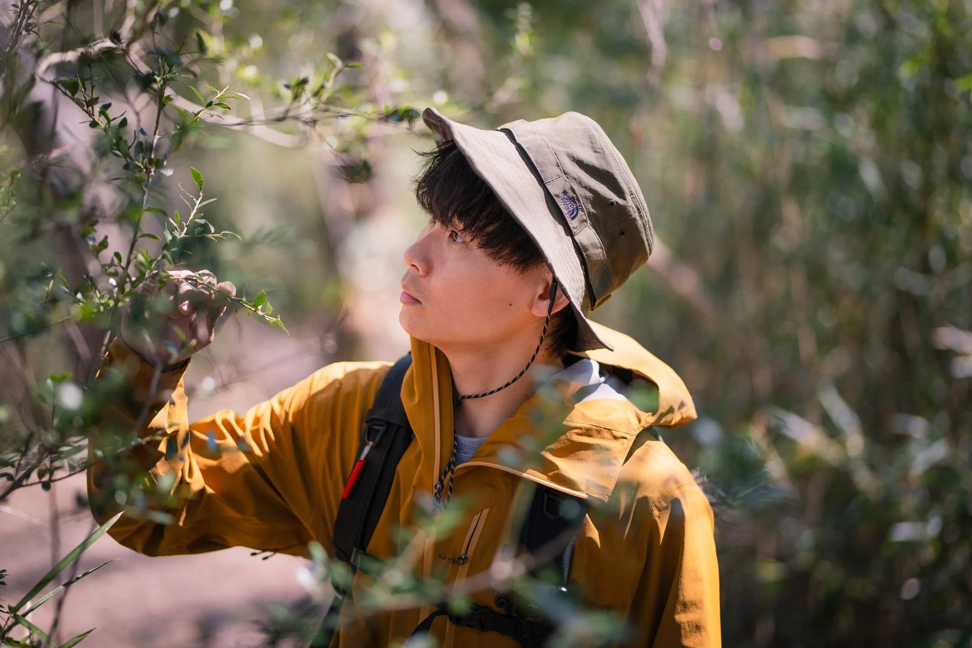 自然の中で植物を観察する男性