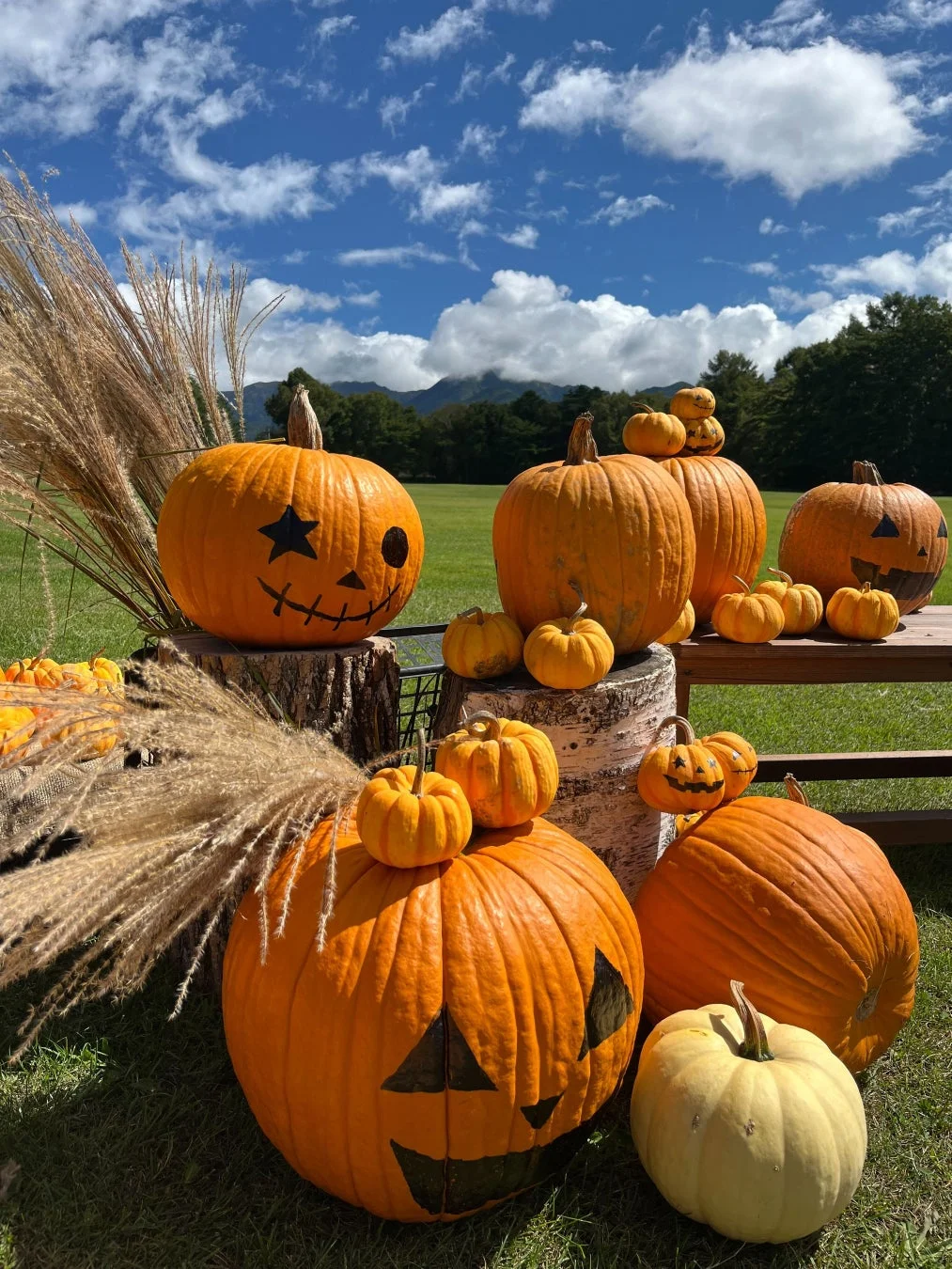 ハロウィンかぼちゃの装飾
