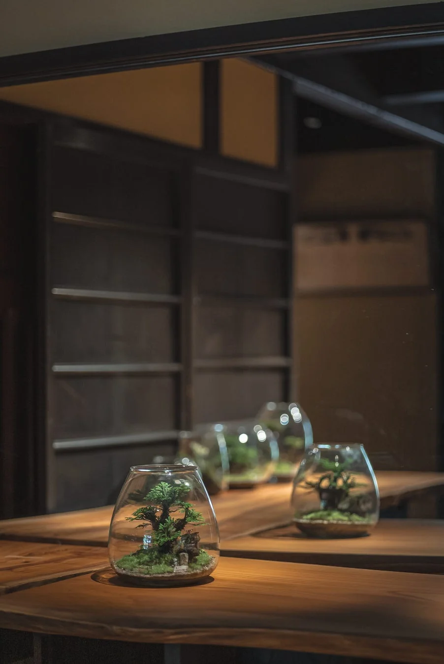 京町家とテラリウム
