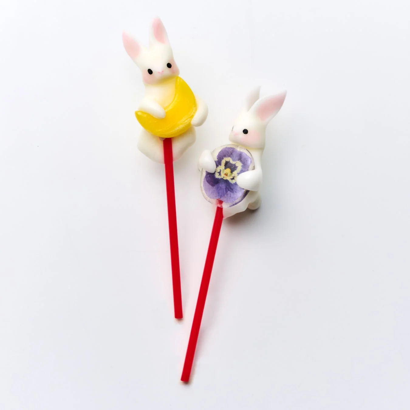 ODOLLPOP