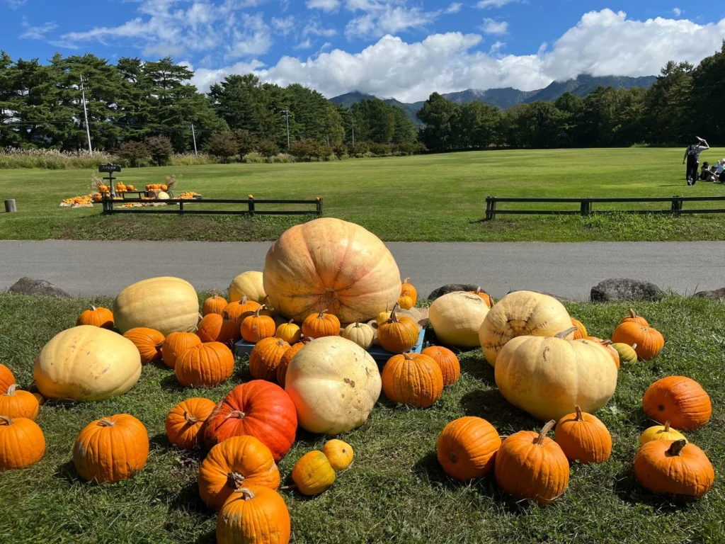 八ヶ岳農業大学校でハロウィンかぼちゃ約1万個を収穫！秋の大型イベントも開催