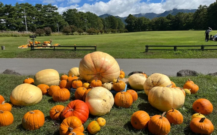 八ヶ岳農業大学校でハロウィンかぼちゃ約1万個を収穫！秋の大型イベントも開催