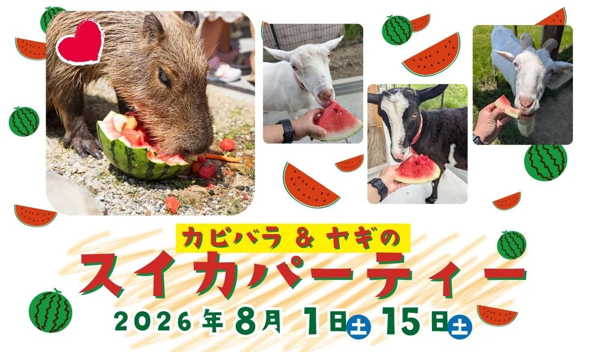 カピバラとヤギがスイカを美味しそうに食べる様子を捉えた、夏のイベント「スイカパーティー」の告知画像です。2026年8月1日と15日に開催されることが示されています。