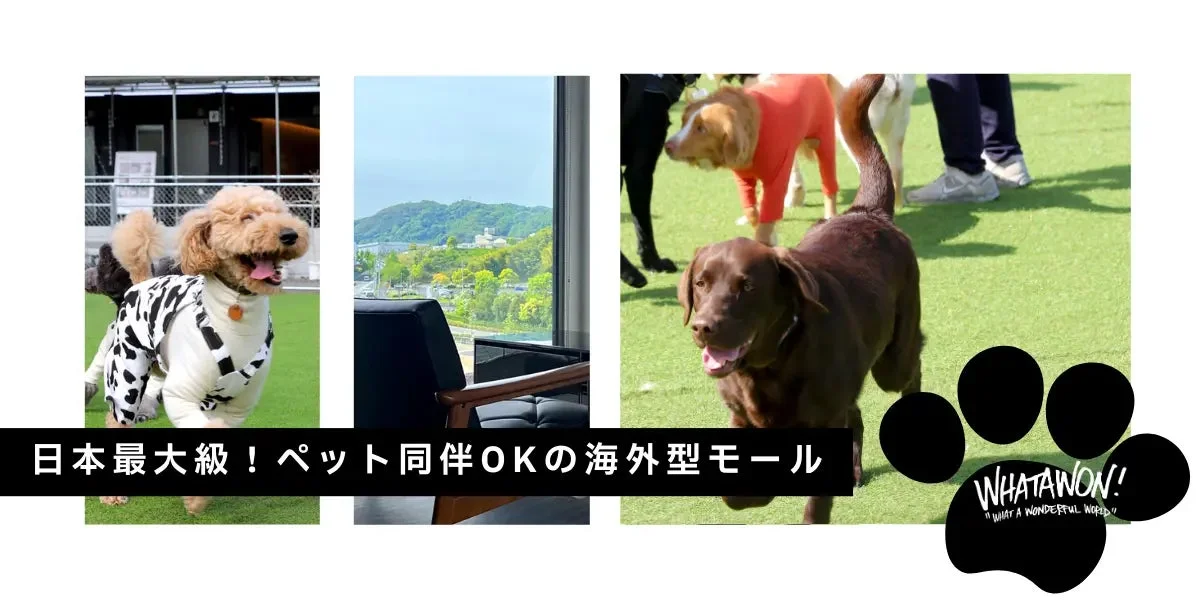 ペット同伴OK