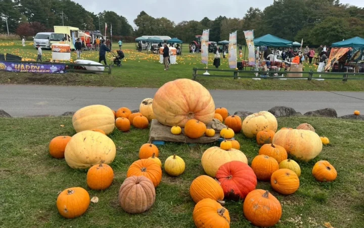 八ヶ岳の秋を彩る「空と大地のハロウィン・オクトーバーフェスト」！1,000個のかぼちゃと地ビールで楽しむ3日間
