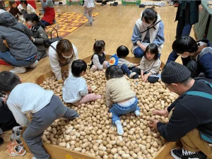 室内イベントで、多くの子どもと大人がじゃがいも（またはそれに似たもの）で満たされた六角形の遊び場で交流しています。子どもたちはじゃがいもに触れて楽しんでおり、大人たちが見守り、手伝っている和やかな情景です。