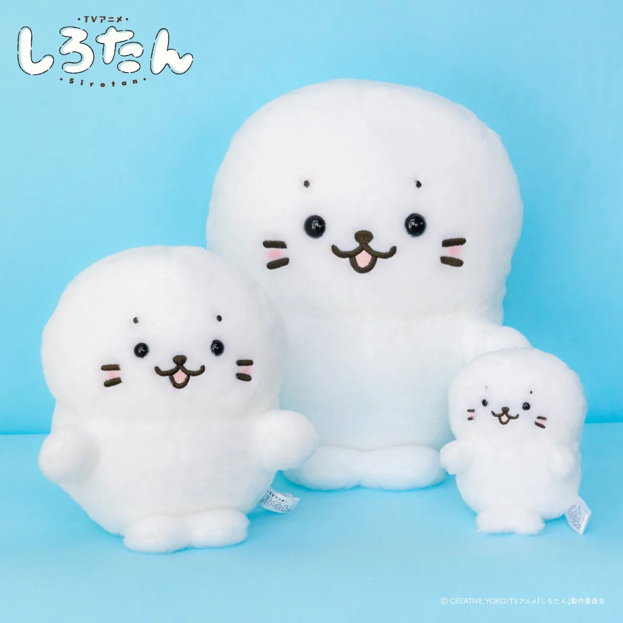 しろたんぬいぐるみ