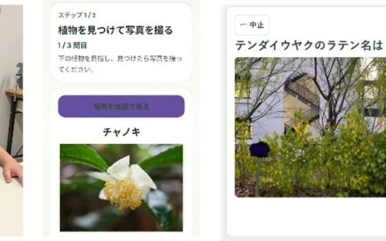 摂南大学の学生が開発！薬用植物園を楽しく巡る学習アプリ、夏の薬草見学会で初公開！