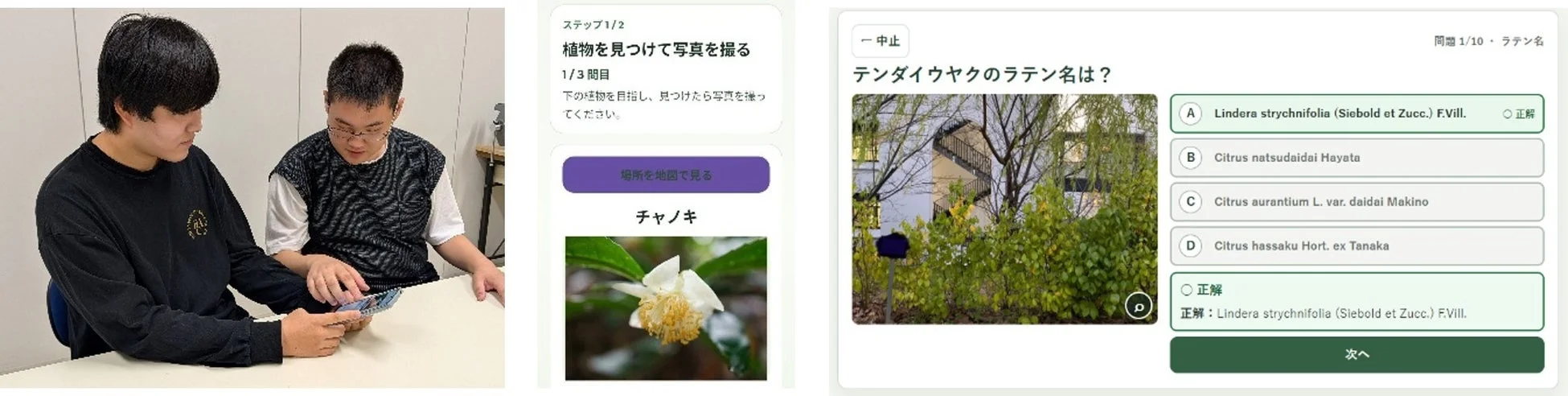 スマートフォンで植物識別アプリを使用している二人の男性の様子と、アプリの画面が示されています。