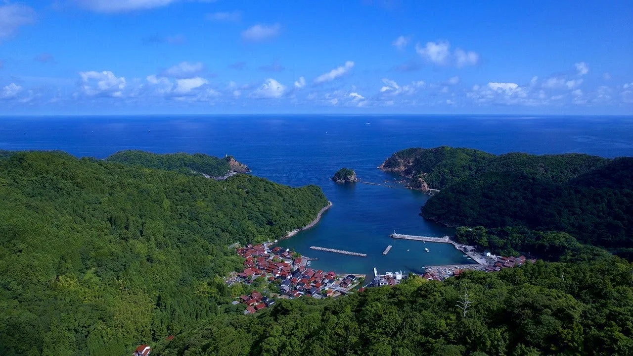 緑豊かな山々に囲まれた湾に広がる小さな集落を空から捉えた風景