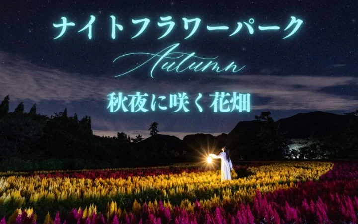 【大分・久住高原】秋の夜空と満天の星が彩る「ナイトフラワーパークAutumn ～秋夜に咲く花畑～」10月限定5日間開催！