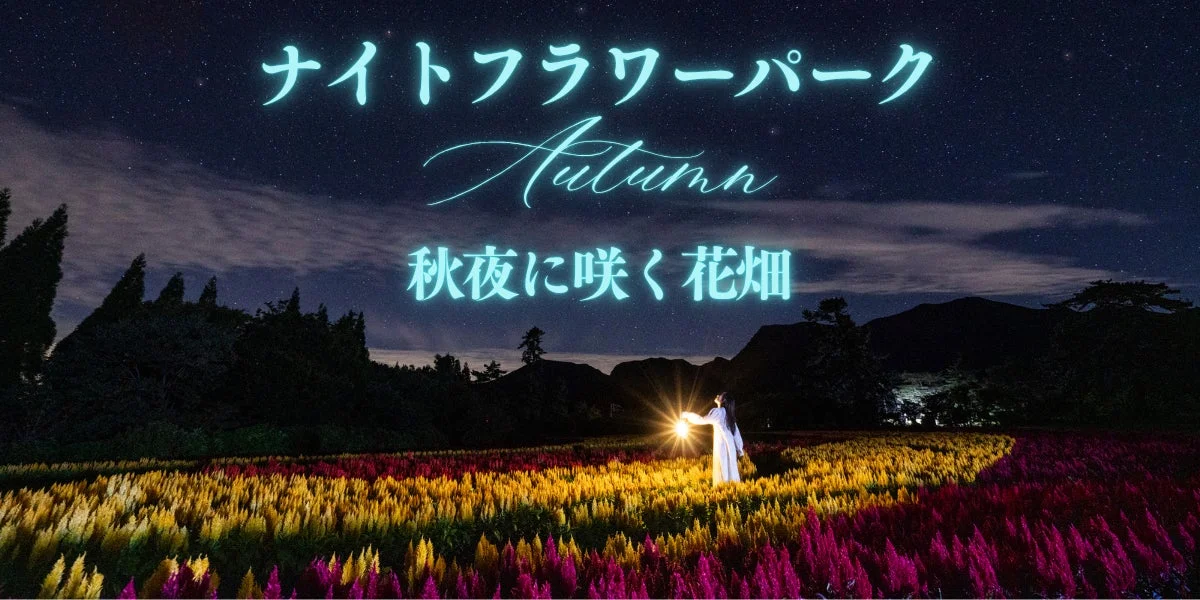 ナイトフラワーパークAutumn ～秋夜に咲く花畑～