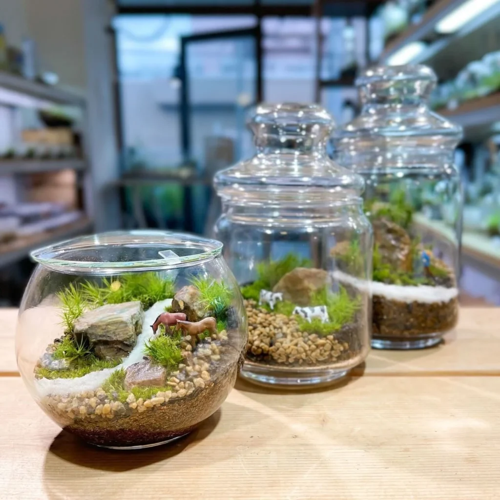 福島いわきに「Feel the Gardenいわき」が2026年秋オープン！旧校舎で苔テラリウム作りを体験できるプレオープンワークショップが9月16日(水)に開催！