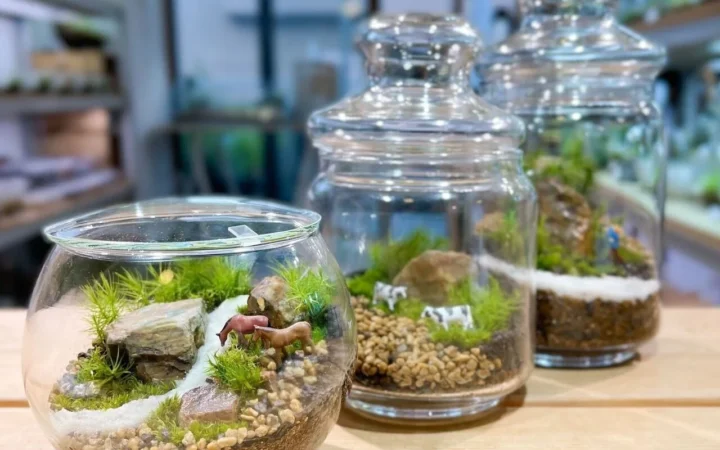 福島いわきに「Feel the Gardenいわき」が2026年秋オープン！旧校舎で苔テラリウム作りを体験できるプレオープンワークショップが9月16日(水)に開催！