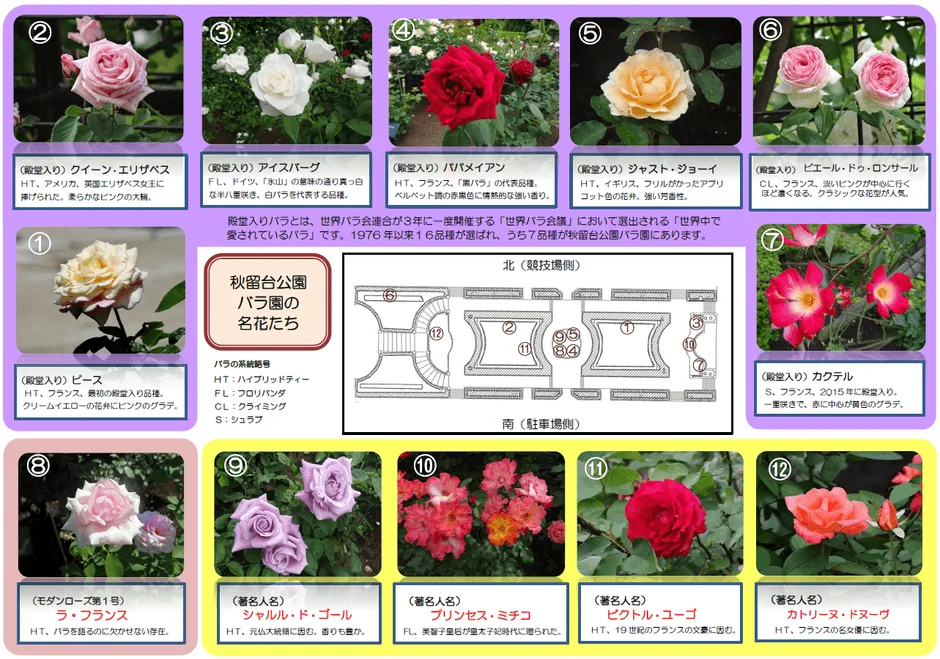 秋留台公園バラ園の殿堂入りバラを紹介するリーフレット