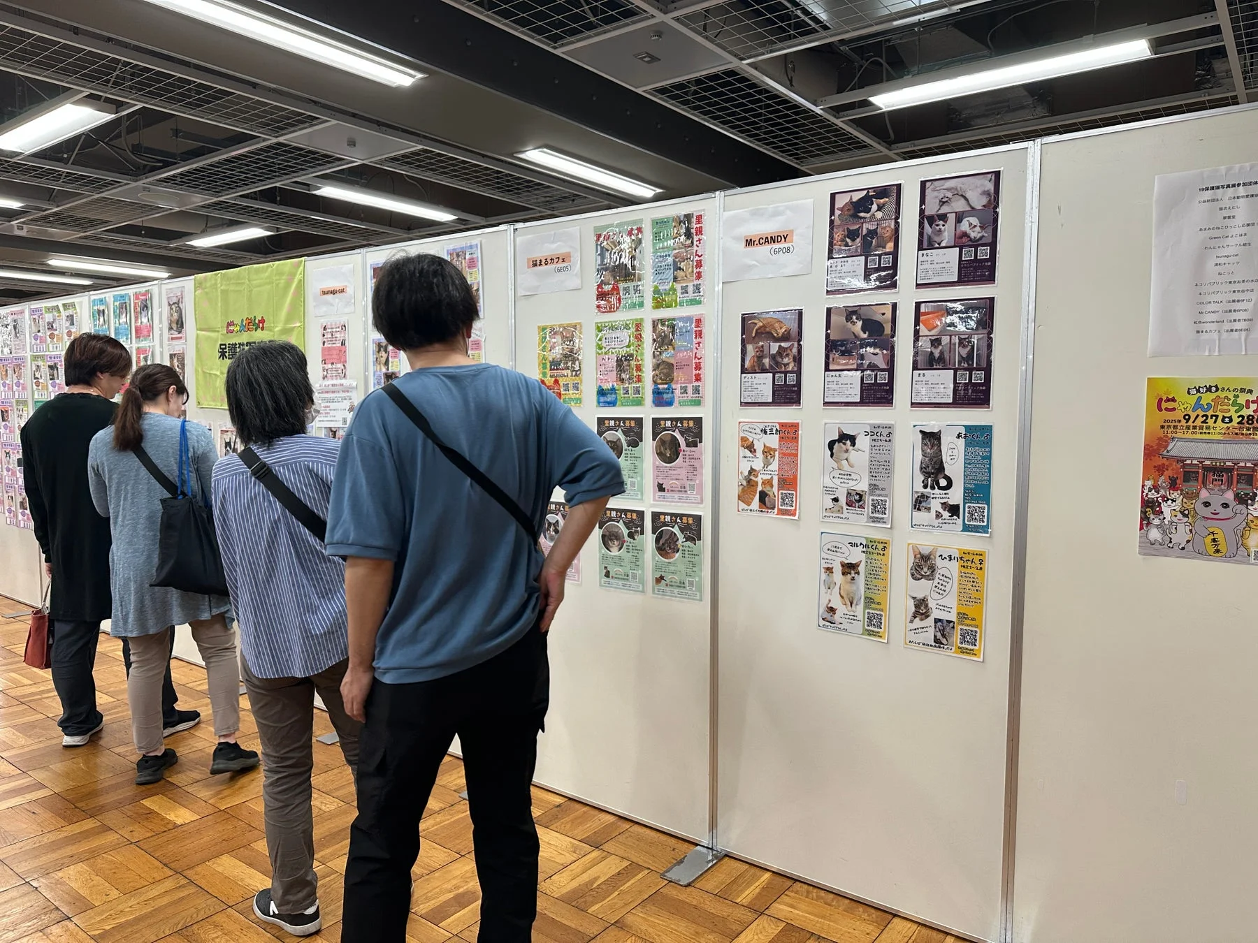 保護猫写真展