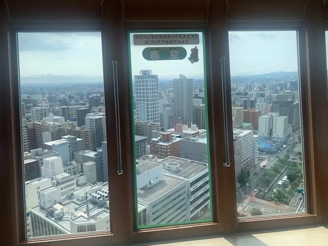 展望台の窓から広がる都市風景