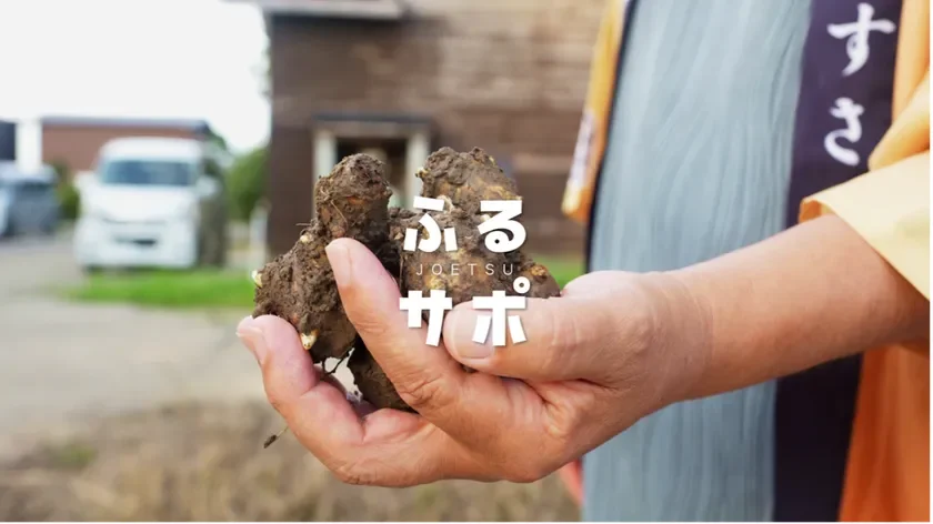 土のついた根菜を持つ手