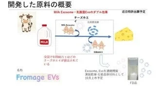 チーズホエイから化粧品原料を開発する新技術の概要図