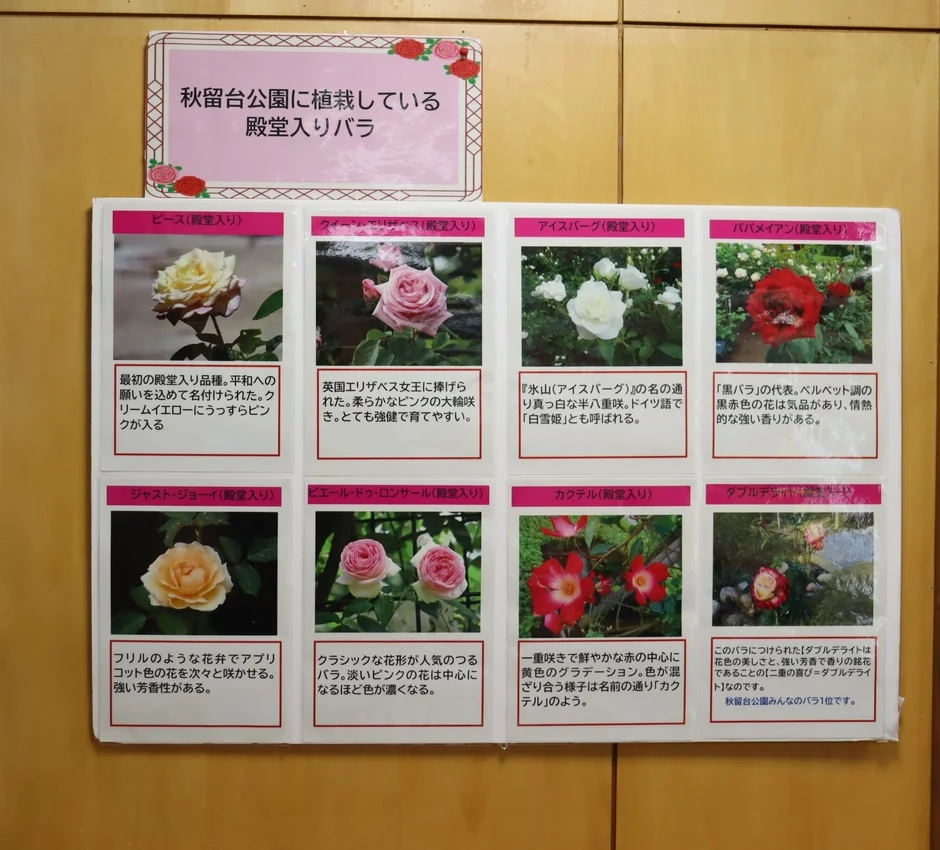秋留台公園の殿堂入りバラを紹介する案内板