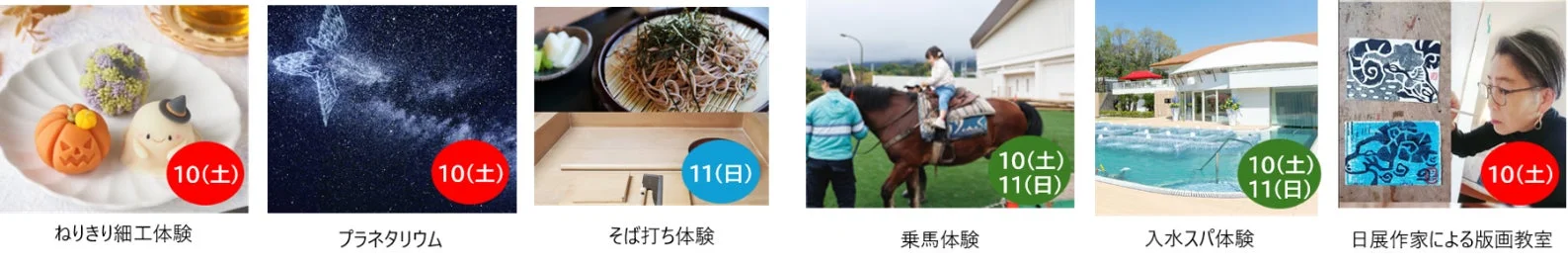 多彩な体験イベント