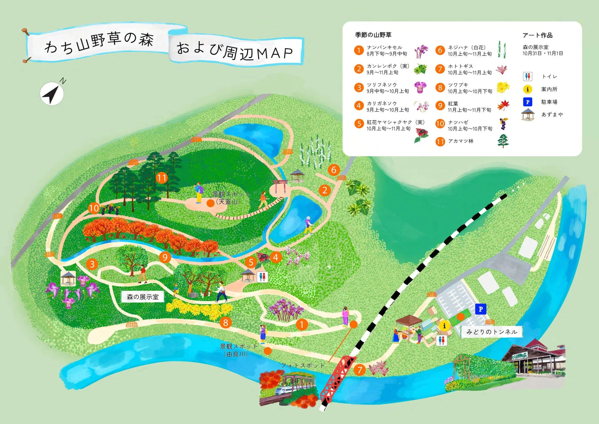 わち山野草の森マップ
