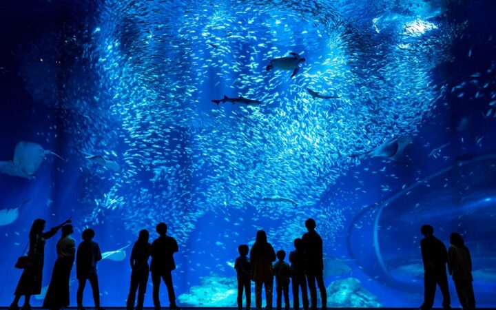 【JAF茨城】ランタンを手に巡る、夜のアクアワールド茨城県大洗水族館 初の貸切イベントを11月22日に開催