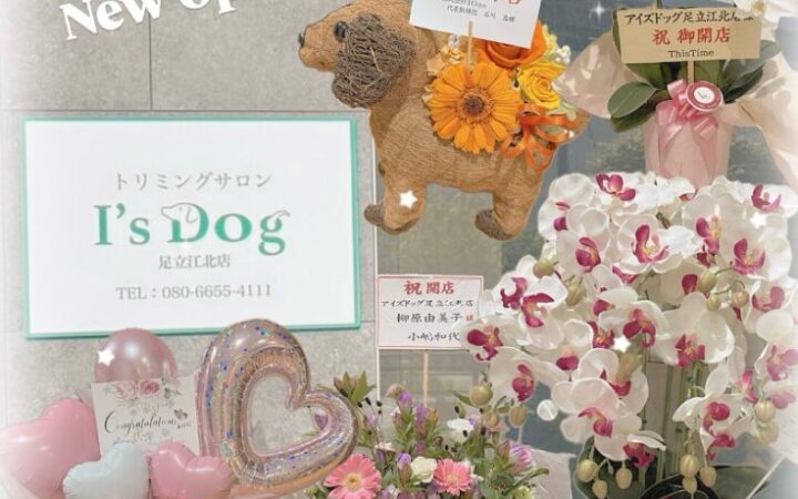 アイズドッグ足立江北店、飼い主様に癒やしのアロマを贈る特別イベントを開催！