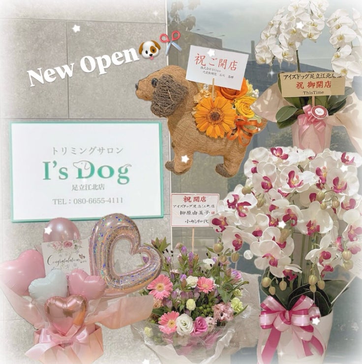 アイズドッグ足立江北店、飼い主様に癒やしのアロマを贈る特別イベントを開催!
