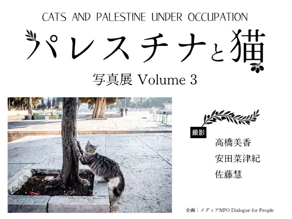 【「パレスチナと猫 写真展 Volume 3」開催のお知らせ】ー10/28~キャッツミャウブックス(東京)にて開催!(撮影:高橋美香・安田菜津紀・佐藤慧)