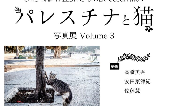 【「パレスチナと猫 写真展 Volume 3」開催のお知らせ】ー10/28～キャッツミャウブックス（東京）にて開催！（撮影：高橋美香・安田菜津紀・佐藤慧）