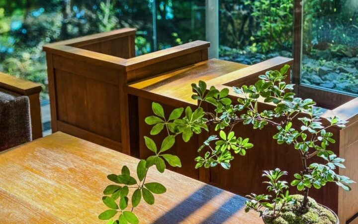 【箱根リトリートföre & villa 1/f】箱根の森を、小さな庭に。苔や石、苗木に触れ、自分だけの景色をつくる「小庭盆栽」体験を開催