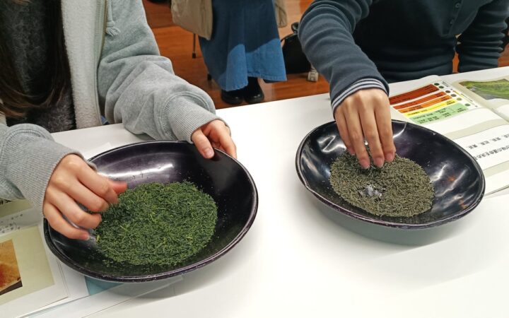 佐賀大学芸術地域デザイン学部による「うれしの茶新商品ブランディング」の一次審査会を佐賀大学にて開催します！
