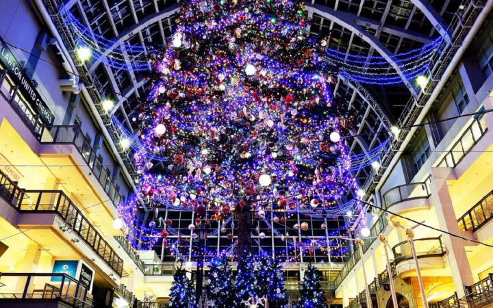 「サッポロ クリスマスファクトリー ジャンボクリスマスツリー点灯式2026」開催！高さ約15mの巨大ツリーが、幻想的な光に包まれる特別な夜