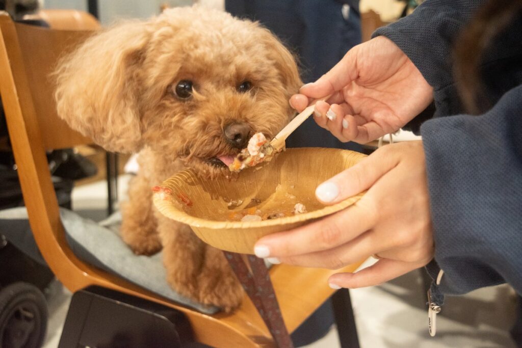 愛犬の「食べる」をもっと楽しく。そららSORARA、手作りごはんの食育体験会を東京・原宿で開催