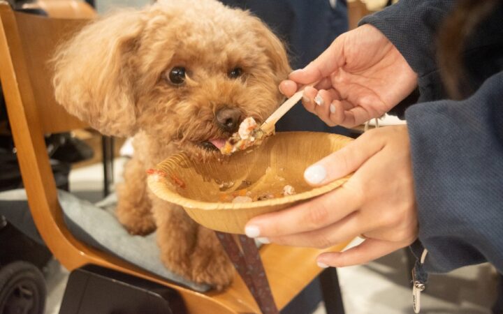 愛犬の「食べる」をもっと楽しく。そららSORARA、手作りごはんの食育体験会を東京・原宿で開催