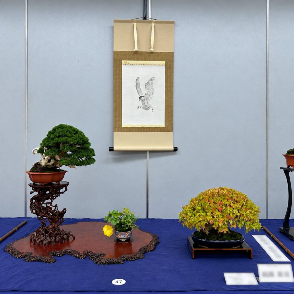 関東最大の小品盆栽展「第34回秋雅展」東京・上野で開催!紅葉や実ものが彩る小さな盆栽の世界