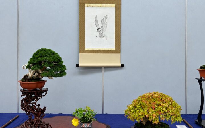関東最大の小品盆栽展「第34回秋雅展」東京・上野で開催！紅葉や実ものが彩る小さな盆栽の世界