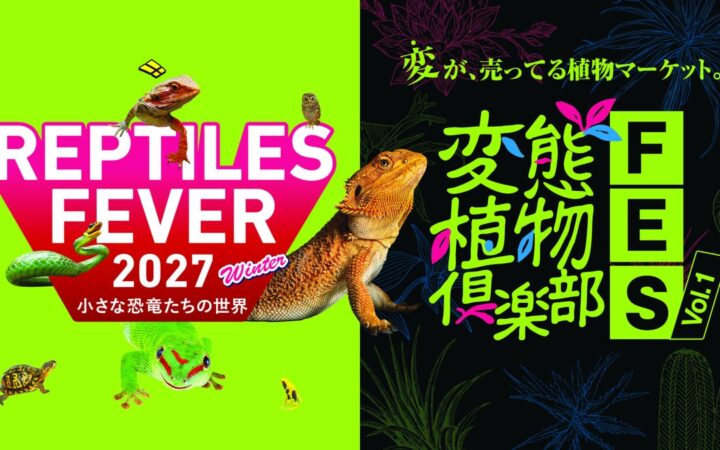 日本最大級の“爬虫類×珍奇植物”マーケットが誕生！『レプタイルズフィーバー×変態植物倶楽部FES』初コラボ開催で”偏愛カルチャー”の巨大祭典が大阪に。
