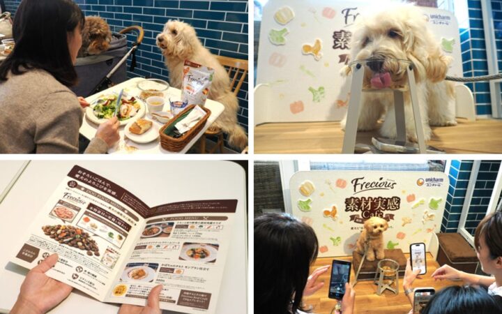 ユニ・チャーム、愛犬とおそろいの素材を使った食事が楽しめるドッグカフェイベント『Frecious 素材実感Cafe』 を期間限定で開催