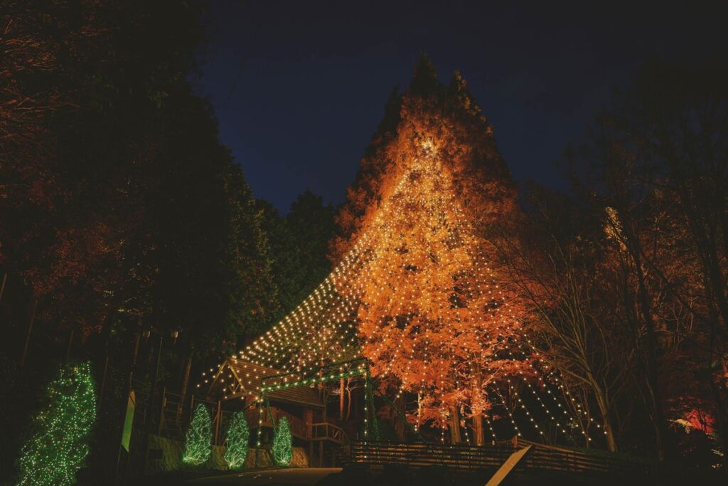 神戸クリスマスマーケット2026のシンボルツリー「森のクリスマスツリー(高さ25m)」の点灯セレモニーを11/7(土)に開催。煌びやかな「古城のクリスマス(展望広場全域)」の点灯セレモニーも同日開催。