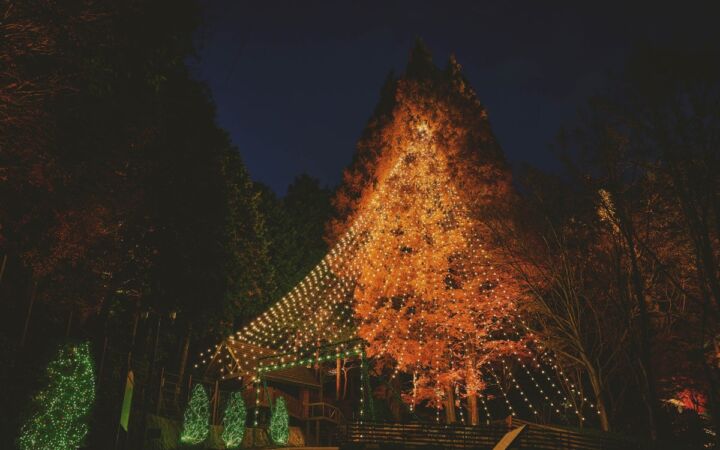神戸クリスマスマーケット2026のシンボルツリー「森のクリスマスツリー（高さ25m)」の点灯セレモニーを11/7（土）に開催。煌びやかな「古城のクリスマス（展望広場全域）」の点灯セレモニーも同日開催。