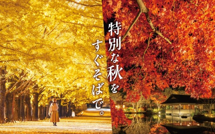 黄葉・紅葉まつり＆秋の夜散歩2026開催｜国営昭和記念公園