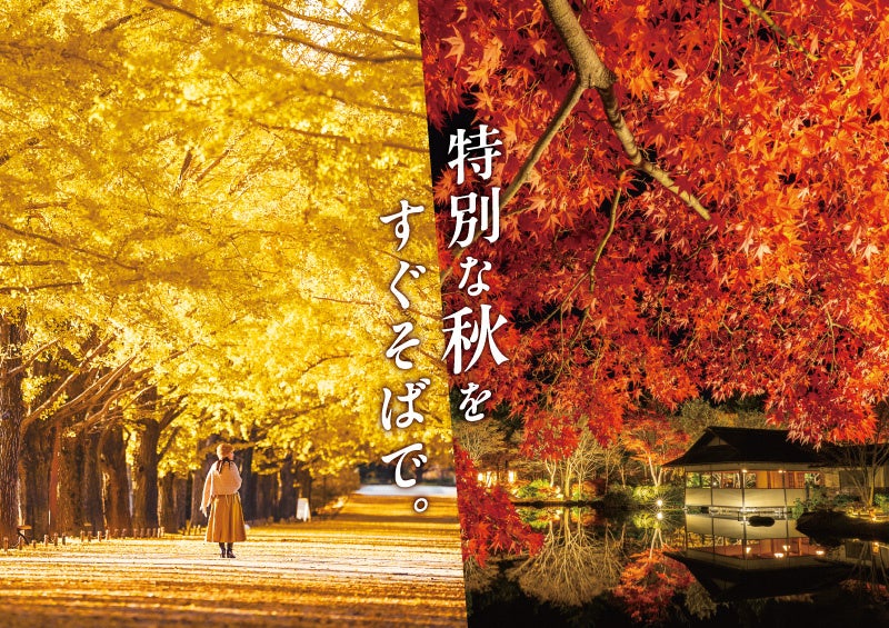 黄葉・紅葉まつり&秋の夜散歩2026開催|国営昭和記念公園