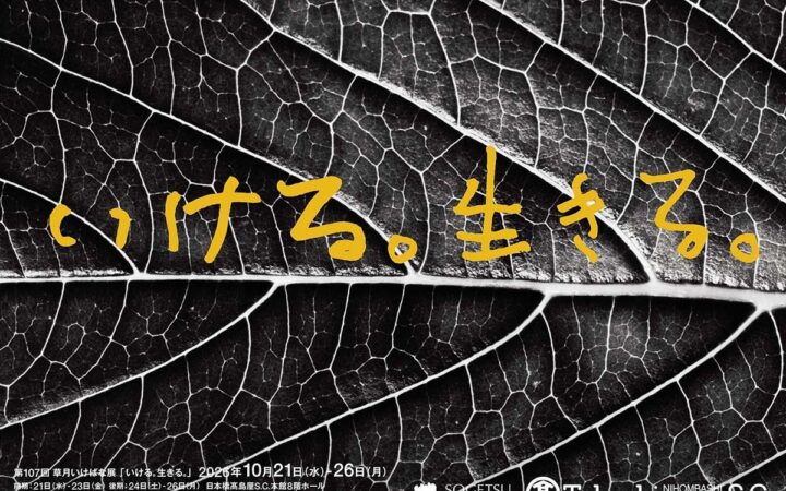 草月創流100周年を前に、一人ひとりの“いける” を見つめる、「第107回草月いけばな展『いける。生きる。』」が日本橋髙島屋S.C. にて開催